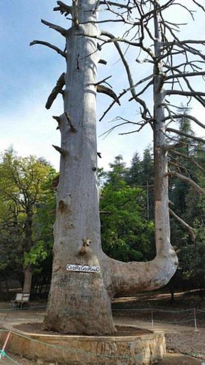Harmony Διαμέρισμα Azrou Εξωτερικό φωτογραφία